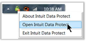 Open Intuit Data Protect (IDP)
