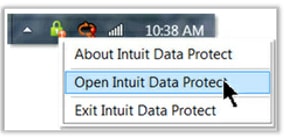 open intuit data protect (idp)