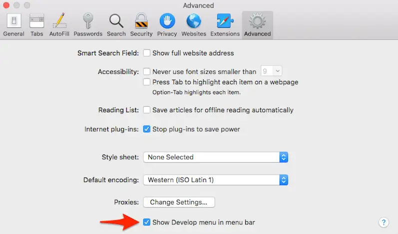 develop and finally empty caches in safari