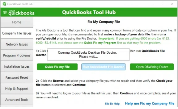 Company File Issues option
