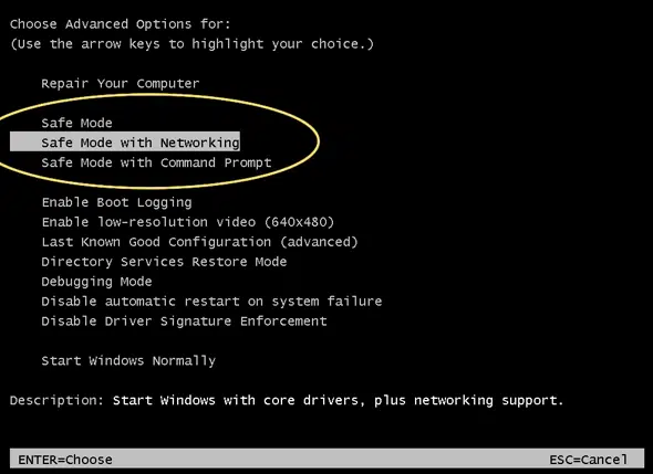select Safe mode with Networking