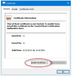 choose view certificate and click general tab to install certificate